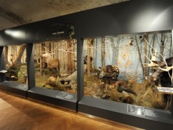 Slovenské múzeum ochrany prírody a jaskyniarstva - Liptovský Mikuláš